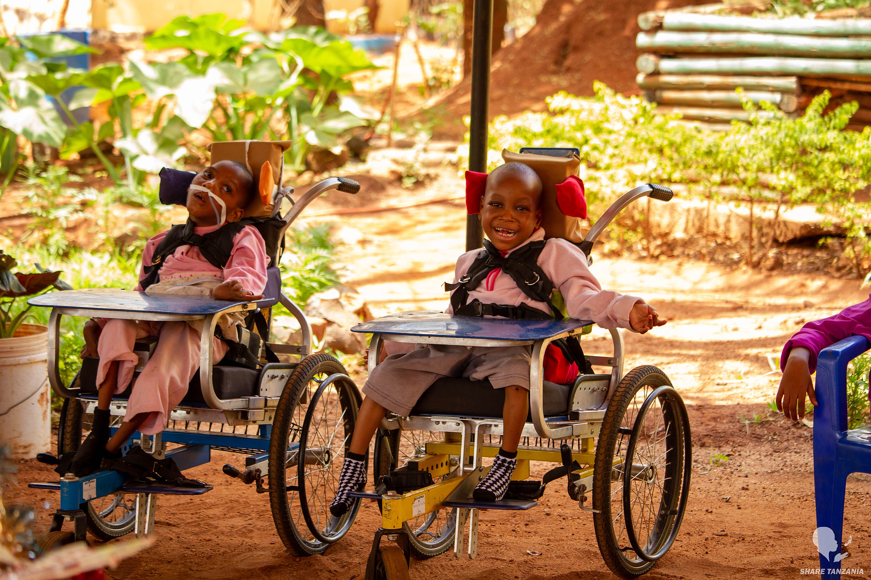 Share Tanzania